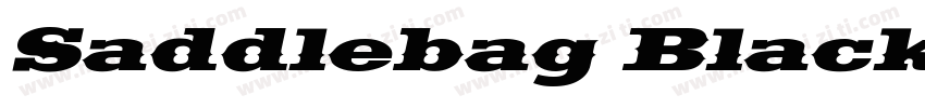 Saddlebag Black字体转换